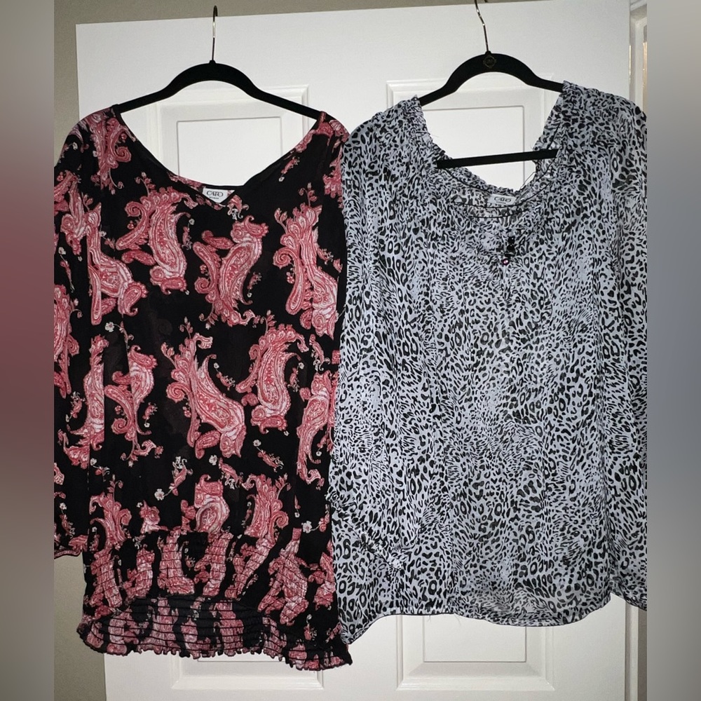 Plus Size Blouses 2-pk (26/28)